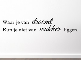 Muursticker Waar je van droomt kun je niet van wakker liggen.